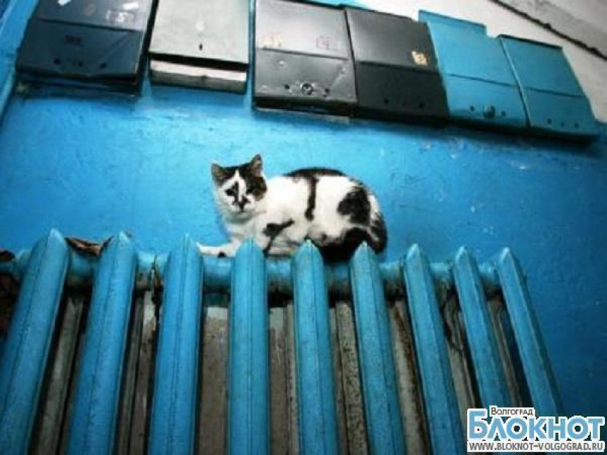 В Волгограде убирают злорадные ухмылки с лиц ТСЖ и управляющих компаний