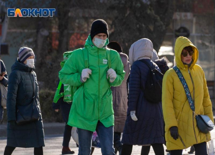 О неуспешности заявляет каждый второй соискатель до 24 лет  в Волгоградской области 