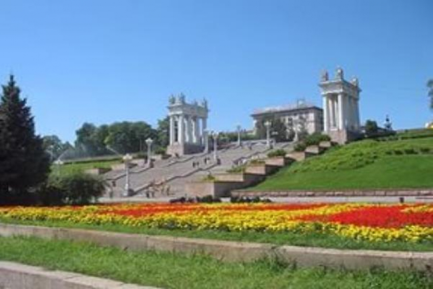 Семья лишилась борсетки с деньгами во время фотосессии в центре Волгограда 