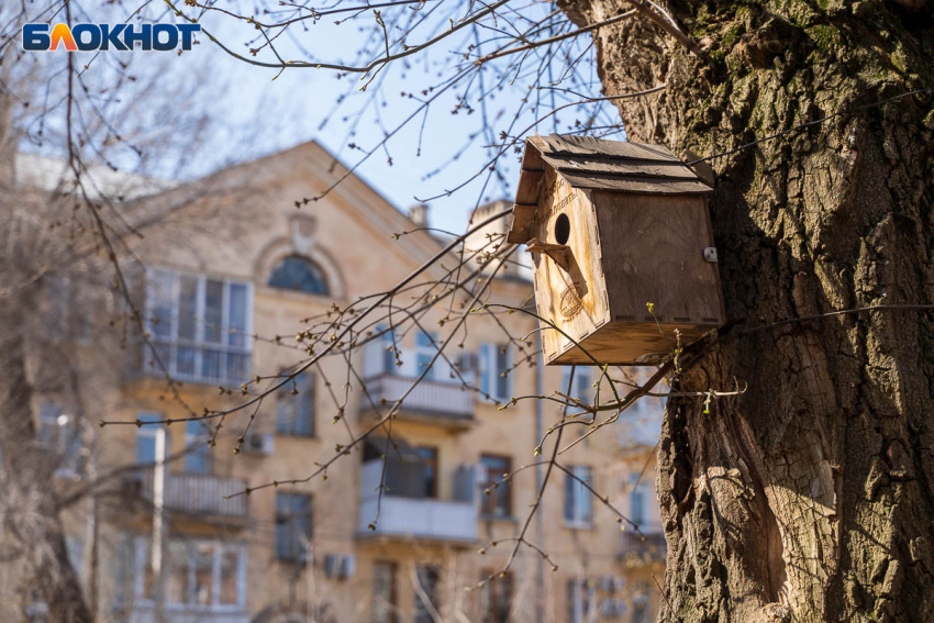 Волгоградцев встречает холодный ветреный понедельник