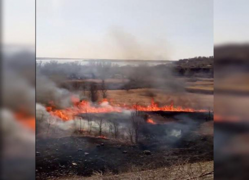 На видео попал полыхающий вдоль домов камыш в Волгограде