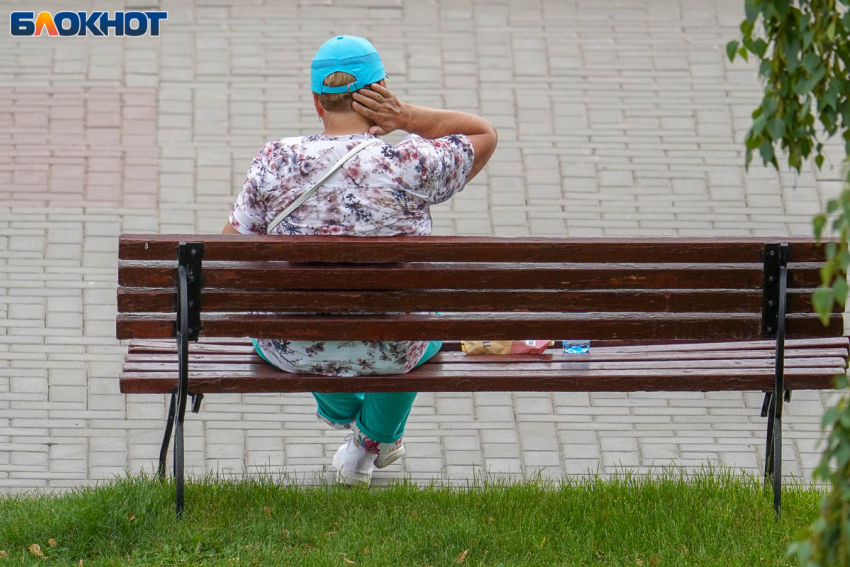 Сезон мошкары начался в Волгограде
