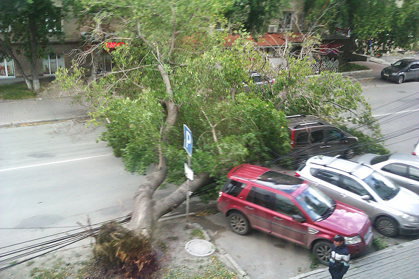 МЧС предупреждает об усилении ветра в Волгограде до 25 м/с