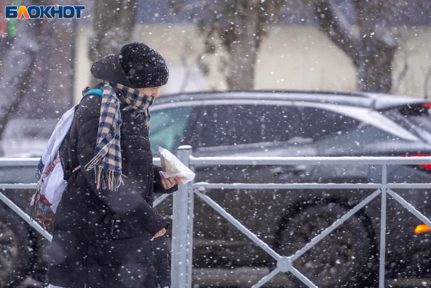 Мокрый снег и дождь прогнозируют синоптики в Волгограде 24 декабря