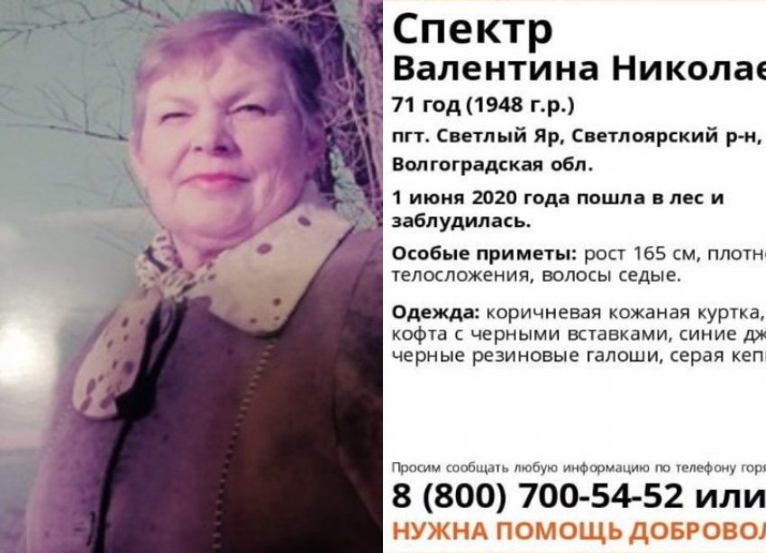 Найдена 71-летняя пенсионерка, заблудившаяся два дня назад в лесу в Волгоградской области