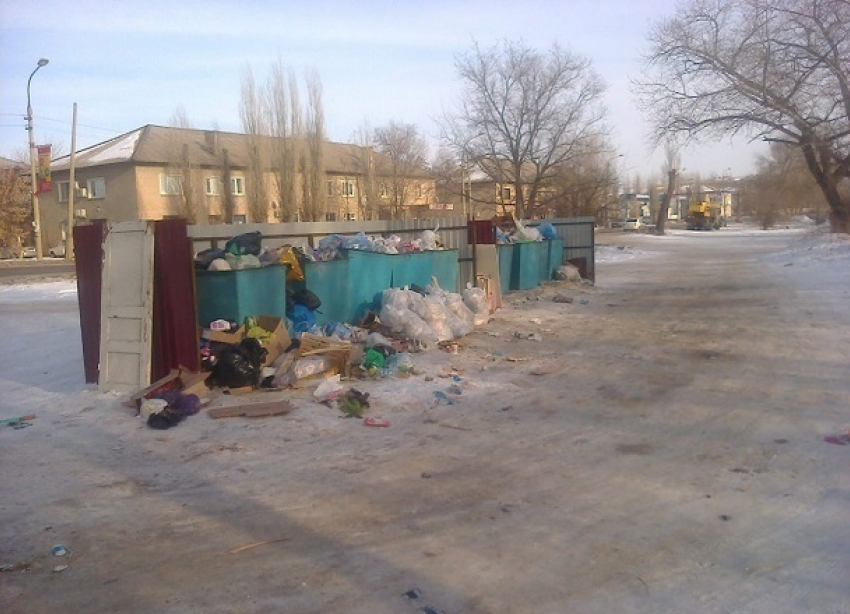 Жители Волгоградской области высказались против проведения «мусорной» реформы