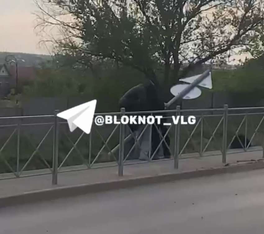 Кураж подростков с вырыванием дорожного знака попал на видео в Волгограде