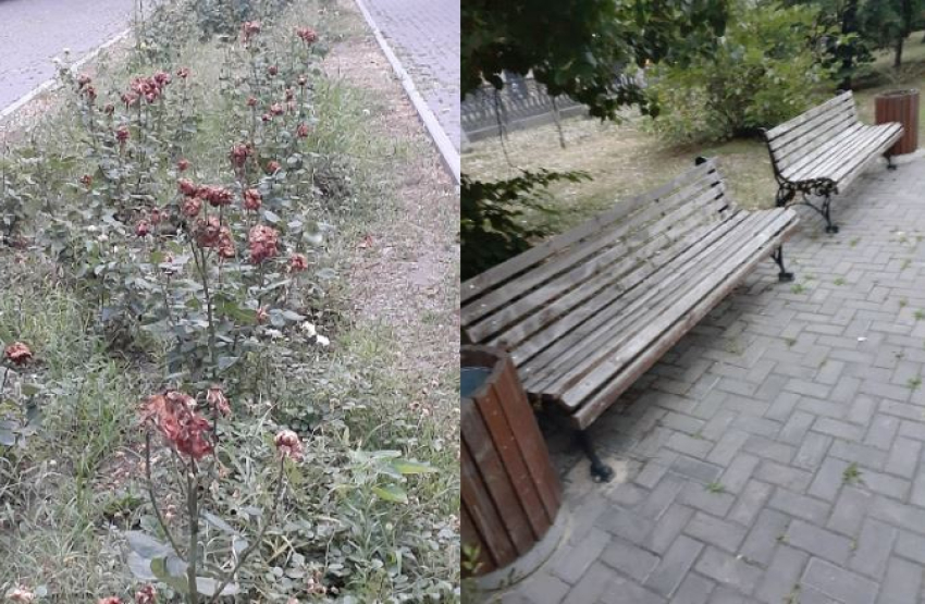 Отремонтировать убогий бульвар в центре города пообещала мэрия Волгограда