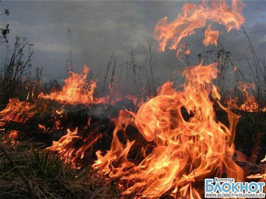 Под Волгоградом сгорело 15 гектаров травы
