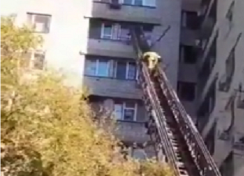 Спасение трехлетнего ребёнка из окна 8 этажа в Волгограде сотрудниками МЧС попало на видео