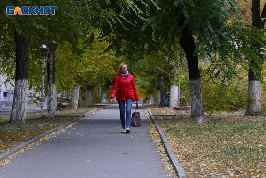 Тепло, но небольшой дождь: синоптики о погоде в Волгоградской области