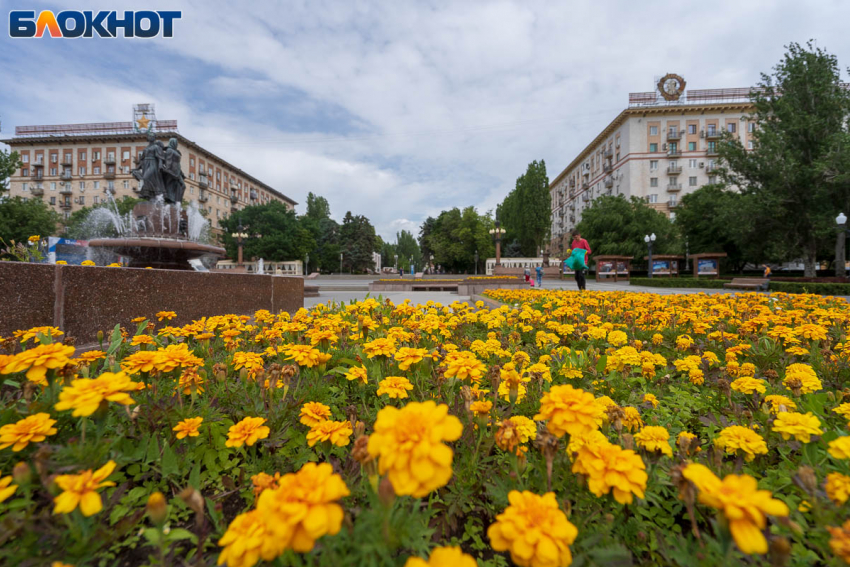 Небольшой дождь с грозой ожидаются в Волгограде 12 июля