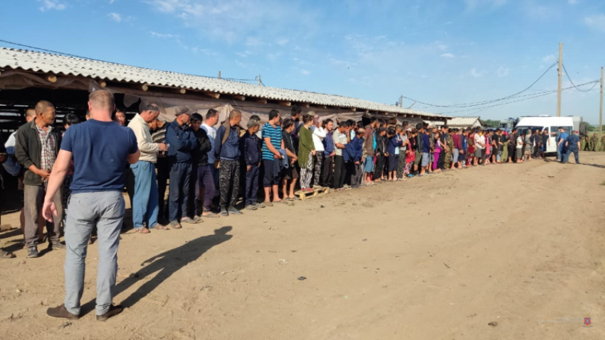 В Волгоградской области в результате масштабного рейда задержали около 50 нелегалов