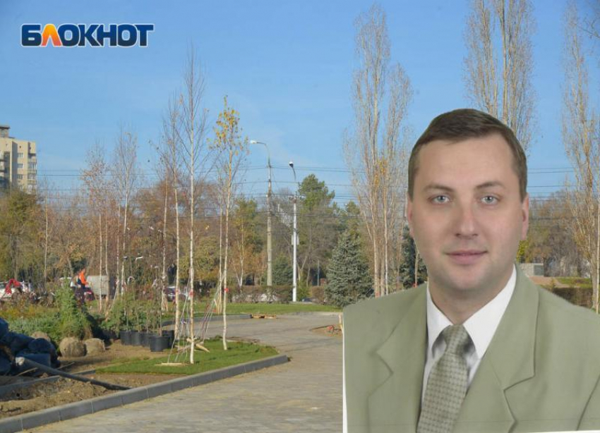 Ректор волгоградского вуза призвал власти вырубить все деревья в центре города-героя