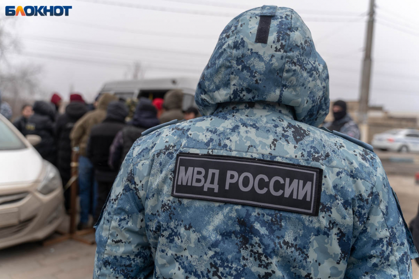 Пробили головы и задушили проволокой: полиция проверяет жестокое убийство собак в Волгограде