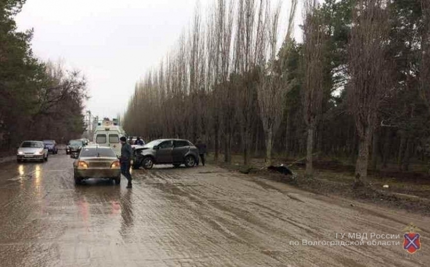 Женщина-водитель на SsangYong в Михайловке протаранила дерево: водитель и 12-летний ребенок в больнице