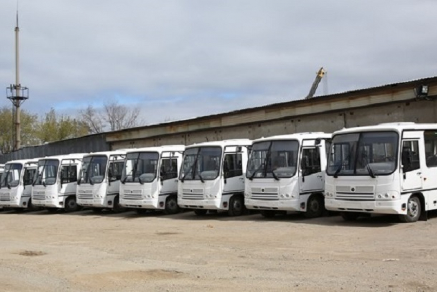 Маршрут №88 в Волгограде пополнили 18 новыми автобусами