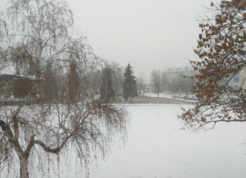 Север Волгоградской области засыпало снегом