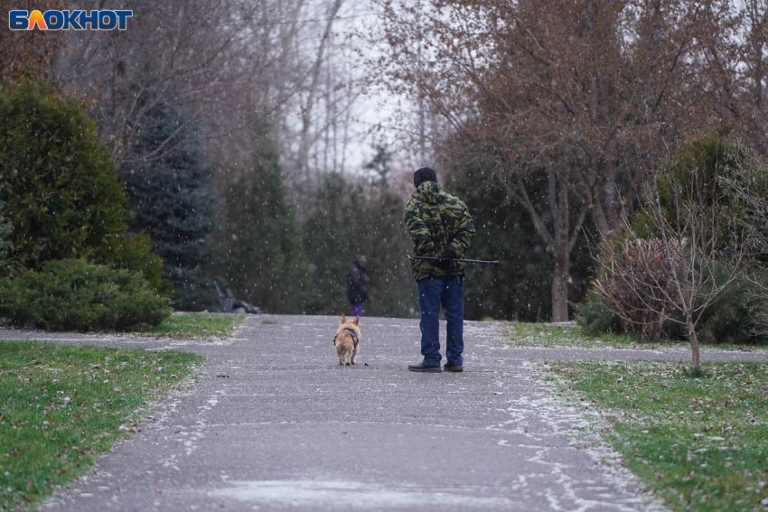 Мокрый снег, дождь и гололед: синоптики о погоде в Волгограде на 11 декабря 