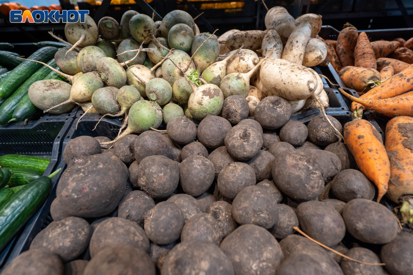 Капуста, картофель и лук взлетели в цене в Волгоградской области 