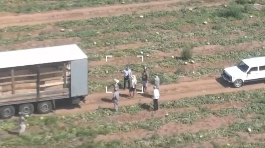 Мигранты поедут домой после погони с дронами по волгоградским полям