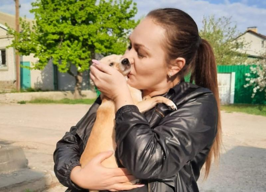 Собака волгоградки, которая пережила нападение во дворе дома, нашлась после публикации «Блокнот Волгоград»