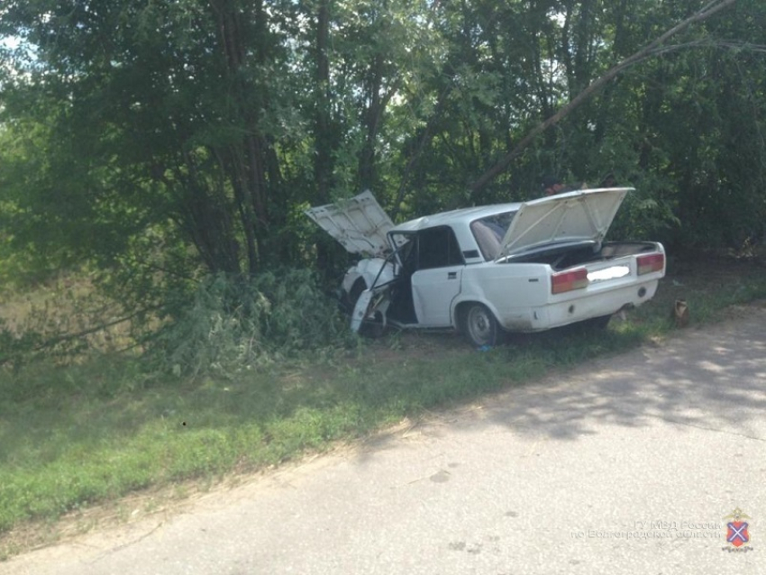 Столкновение ВАЗа с деревом под Волгоградом стало фатальным для водителя