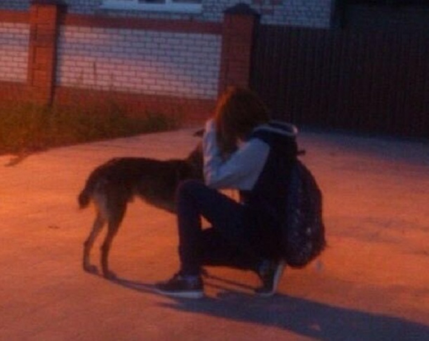 Многодетный отец застрелил собаку из охотничьего ружья на оживленном рынке в Волгограде