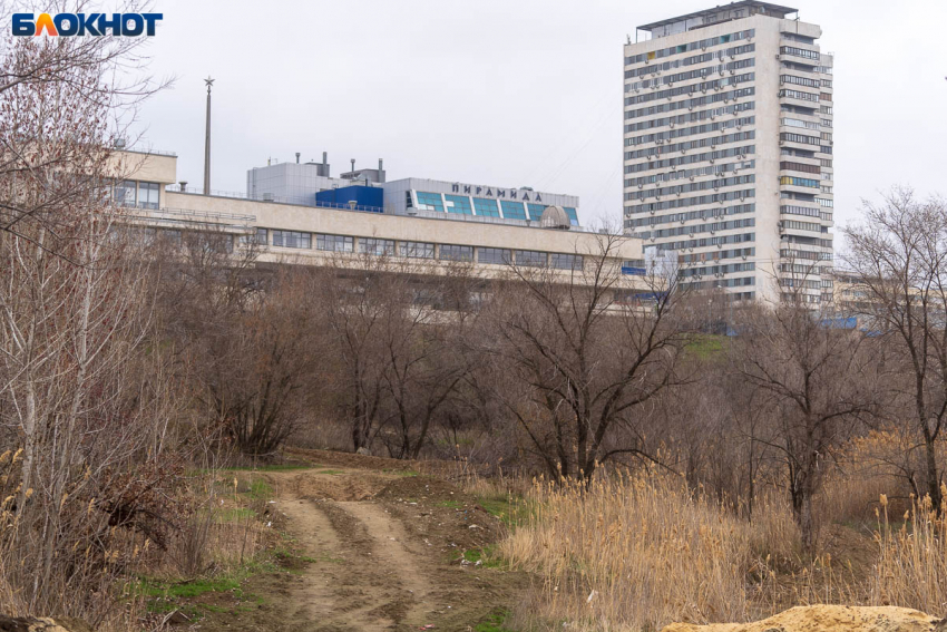 Асфальт закончился: Волгоградская область стала лидером по числу грунтовых дорог 