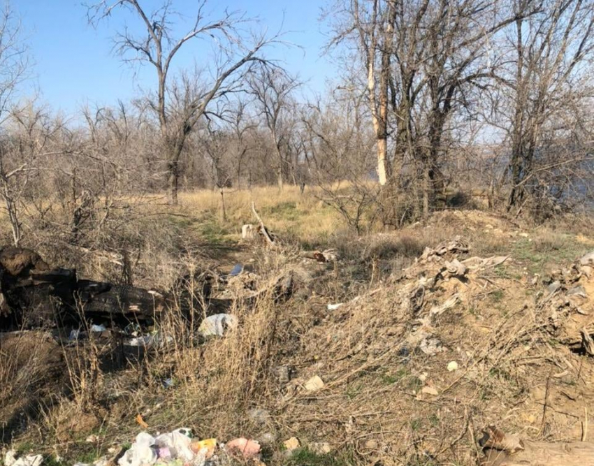 Надгробие из мусора на братской могиле обнаружил общественник в Волгограде