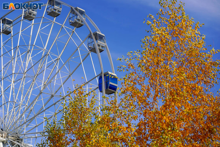 Ноябрьское воскресенье подарит волгоградцам до +6 тепла
