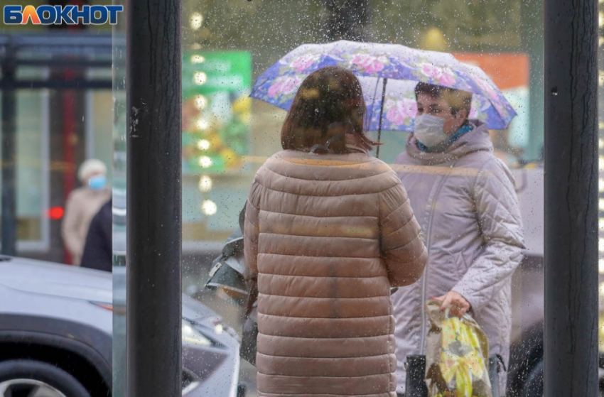 Дождь и +2 градуса тепла: погода в Волгоградской области