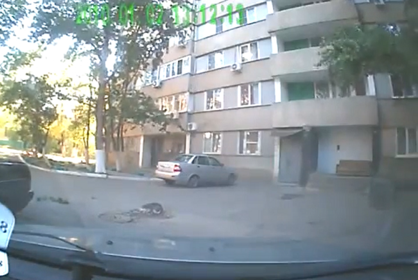 В Волгограде жители многоэтажки выкинули с балкона кошку