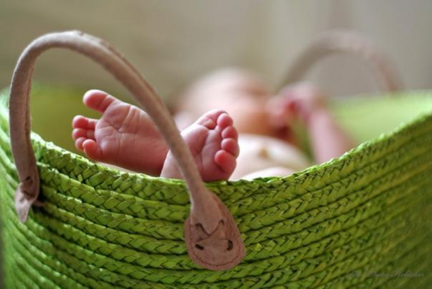 Волгоградские чиновники стимулируют рождаемость как могут