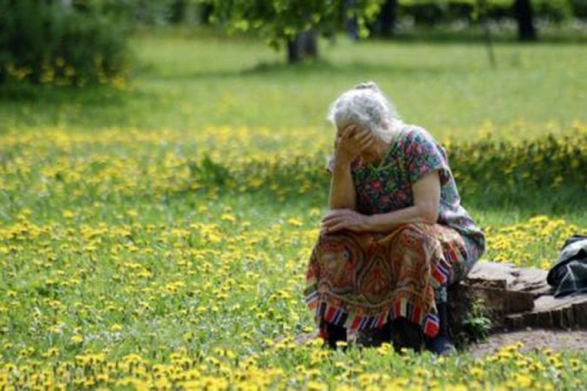 В Волгограде на острове Сарпинский нашли заблудившуюся грибницу