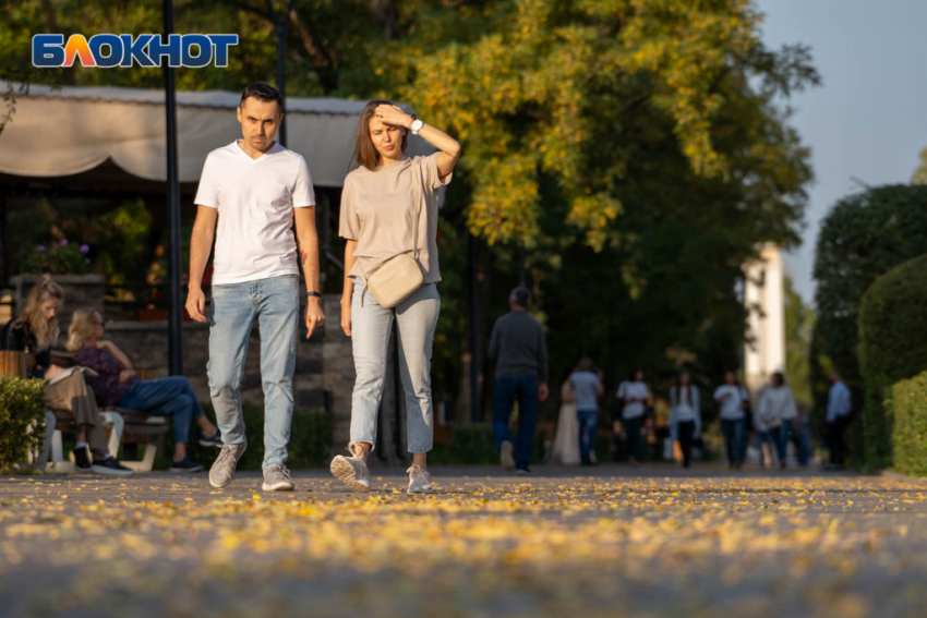 Большинство волгоградцев не желали бы занять пост губернатора