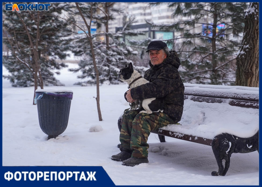 Снежная идиллия под стук лопат: показываем красоту январского утра в Волгограде 