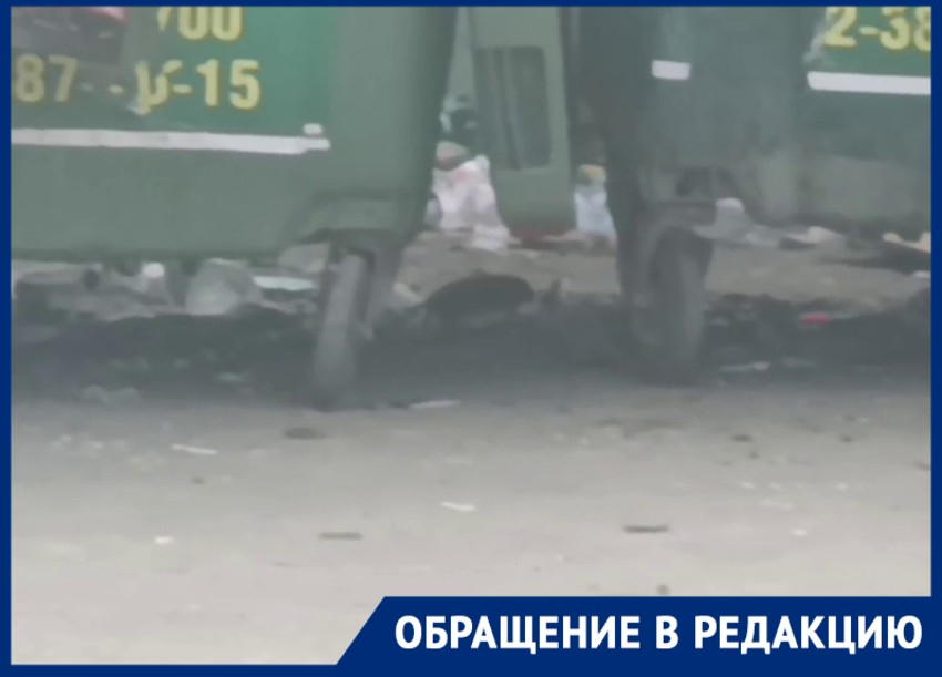 Крысиное нашествие сняли на видео в Волгограде