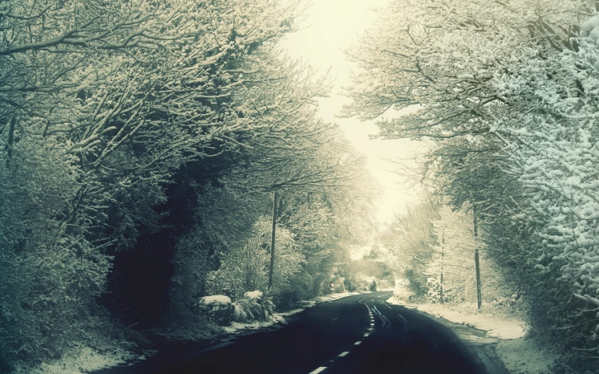 Правительство выделило Волгоградской области 273,5 млн на ремонт сельских дорог 