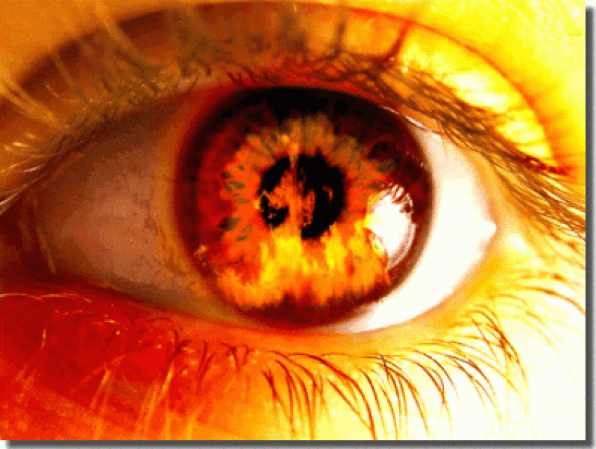  Под Волгоградом из-за детской шалости едва не сгорела квартира