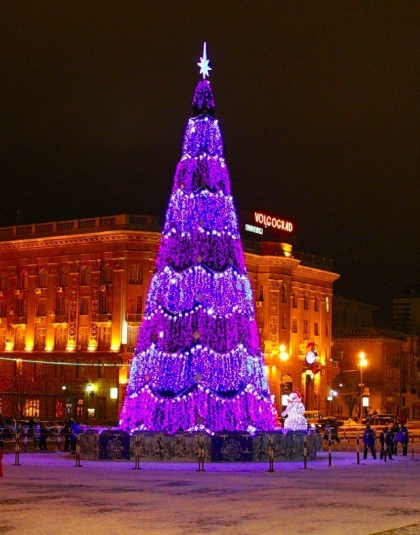 Главную елку Волгограда начнут наряжать 10 декабря