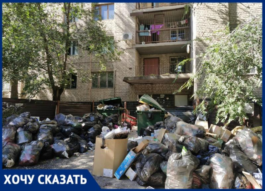Волгоградка в ужасе от соседства детской площадки и мусора под стенами общежития ВГСПУ