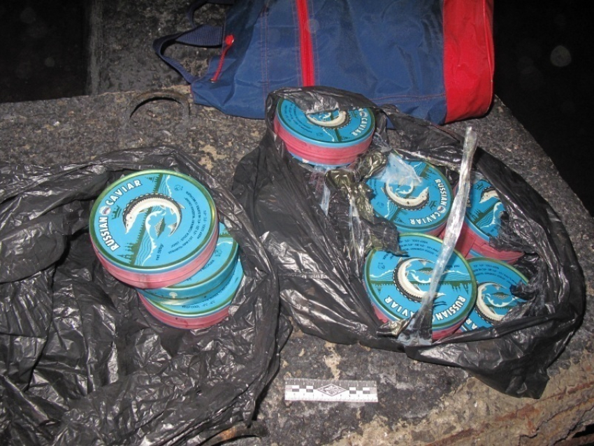 Под Волгоградом в рейсовом автобусе изъято 34 кг черной икры