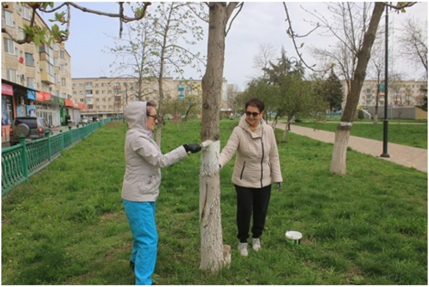 Сотрудникам волгоградского Роспотребнадзора пришлось убирать мусор и белить деревья