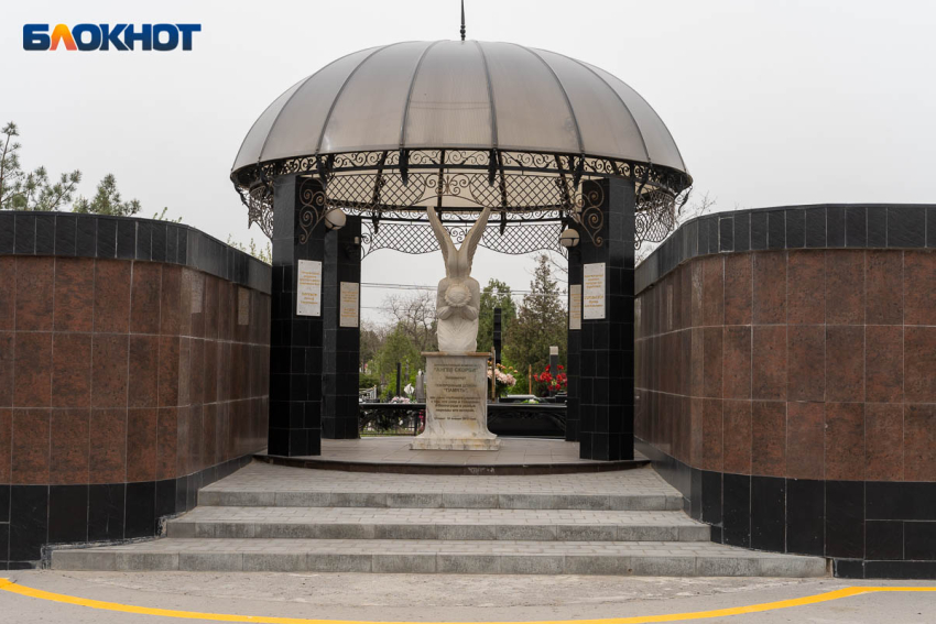 Шесть детей с онкологией умерли в Волгоградской области