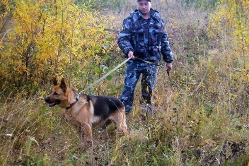 В Камышине мужчина из ревности задушил подругу своей сожительности