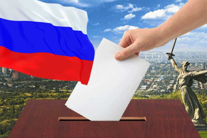 Праймериз читателей «Блокнот Волгоград»: итоги 1 голосования
