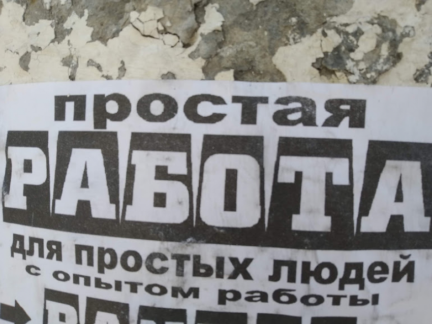 «Хотят мало работать и много получать»: волгоградские кадровики о соискателях