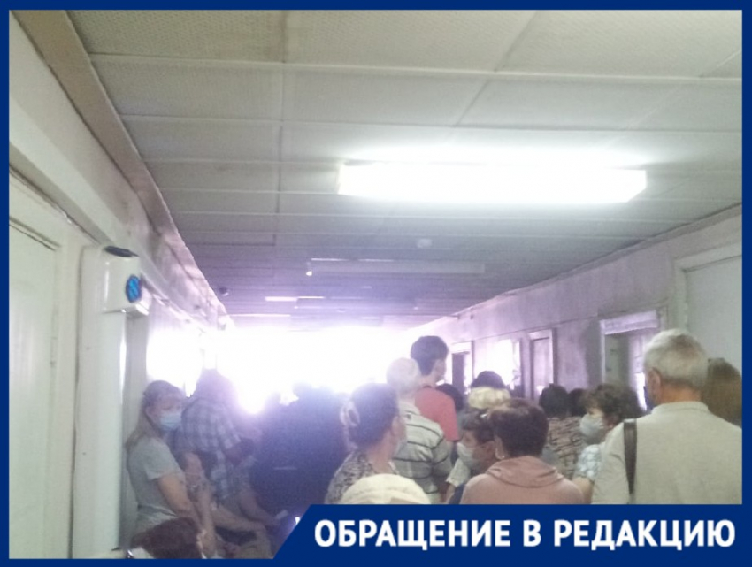 Об адских очередях в поликлинику при нехватке вакцины от бешенства заявляют искусанные на набережной в Волгограде