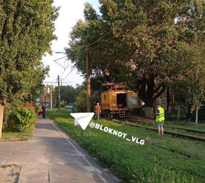 Трамвайный коллапс: в Волгограде движение парализовало упавшее дерево